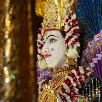 Daily Darshan